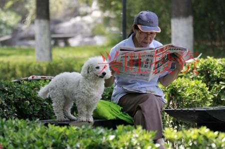 好聽(tīng)的寵物公司名字大全，高端好聽(tīng)有吸引力